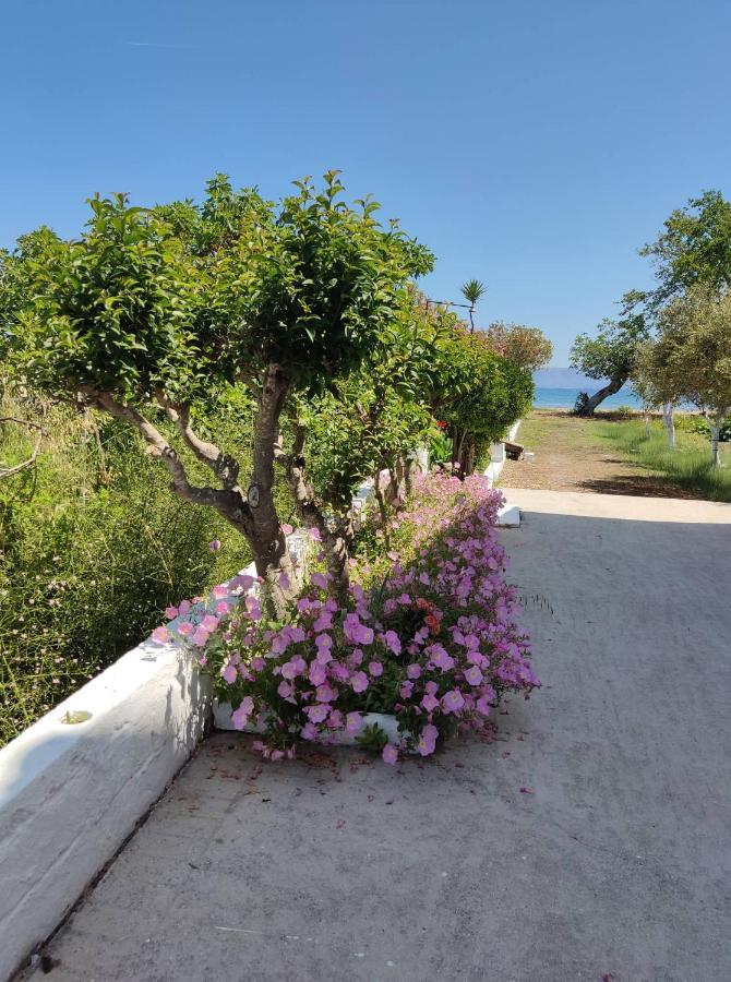 Cavos Sunrise Beach Apartments Kávos Екстериор снимка